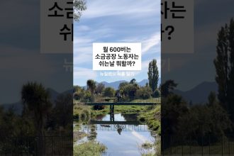 1781764811 maxresdefault infoshare - nz immigration news / 뉴질랜드 이민정보