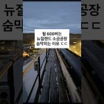 1781862609 maxresdefault infoshare - nz immigration news / 뉴질랜드 이민정보