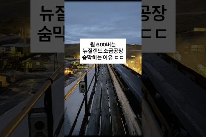 1781862609 maxresdefault infoshare - nz immigration news / 뉴질랜드 이민정보