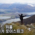 1782130810 maxresdefault infoshare - nz immigration news / 뉴질랜드 이민정보