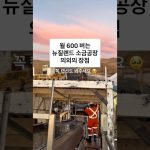 1782648012 maxresdefault infoshare - nz immigration news / 뉴질랜드 이민정보