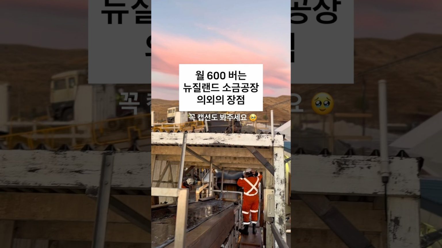 1782648012 maxresdefault infoshare - nz immigration news / 뉴질랜드 이민정보