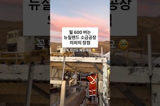 1782648012 maxresdefault infoshare - nz immigration news / 뉴질랜드 이민정보
