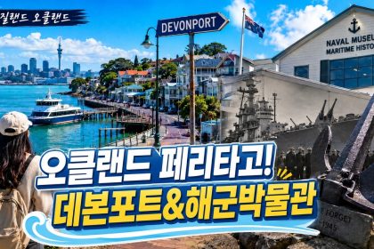 1782679209 maxresdefault infoshare - nz immigration news / 뉴질랜드 이민정보
